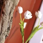 Suederhof 1 Prázdninový dům