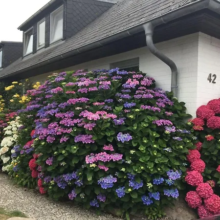 Suederhof 1 Feriehus