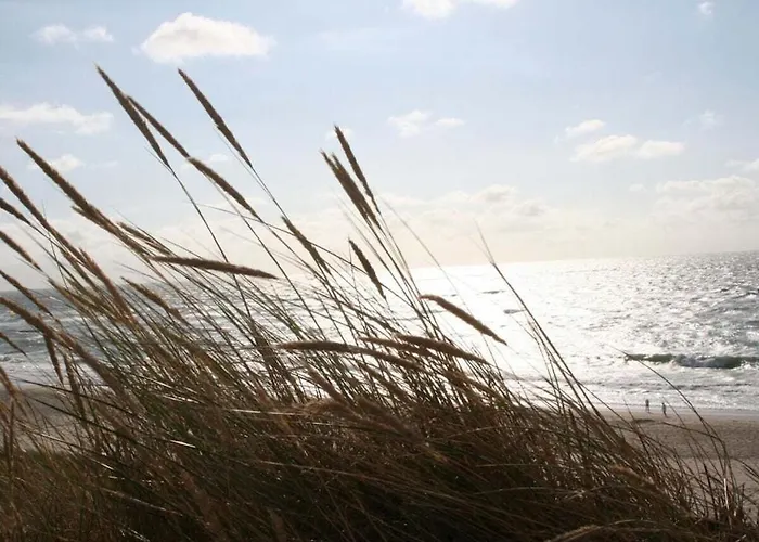 Casa vacanze Suederhof 1 Keitum