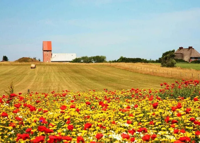 Suederhof 1 Сasa de vacaciones Keitum