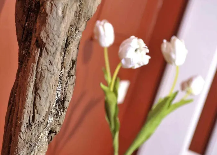 Suederhof 1 Сasa de vacaciones